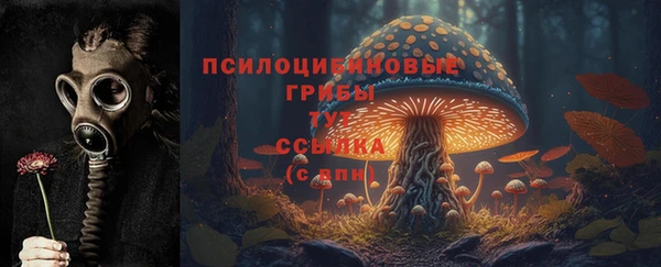 героин Алексин