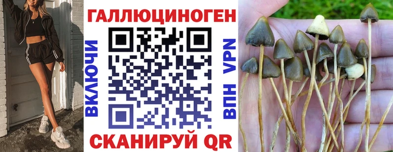 Псилоцибиновые грибы мицелий  Солнечногорск 